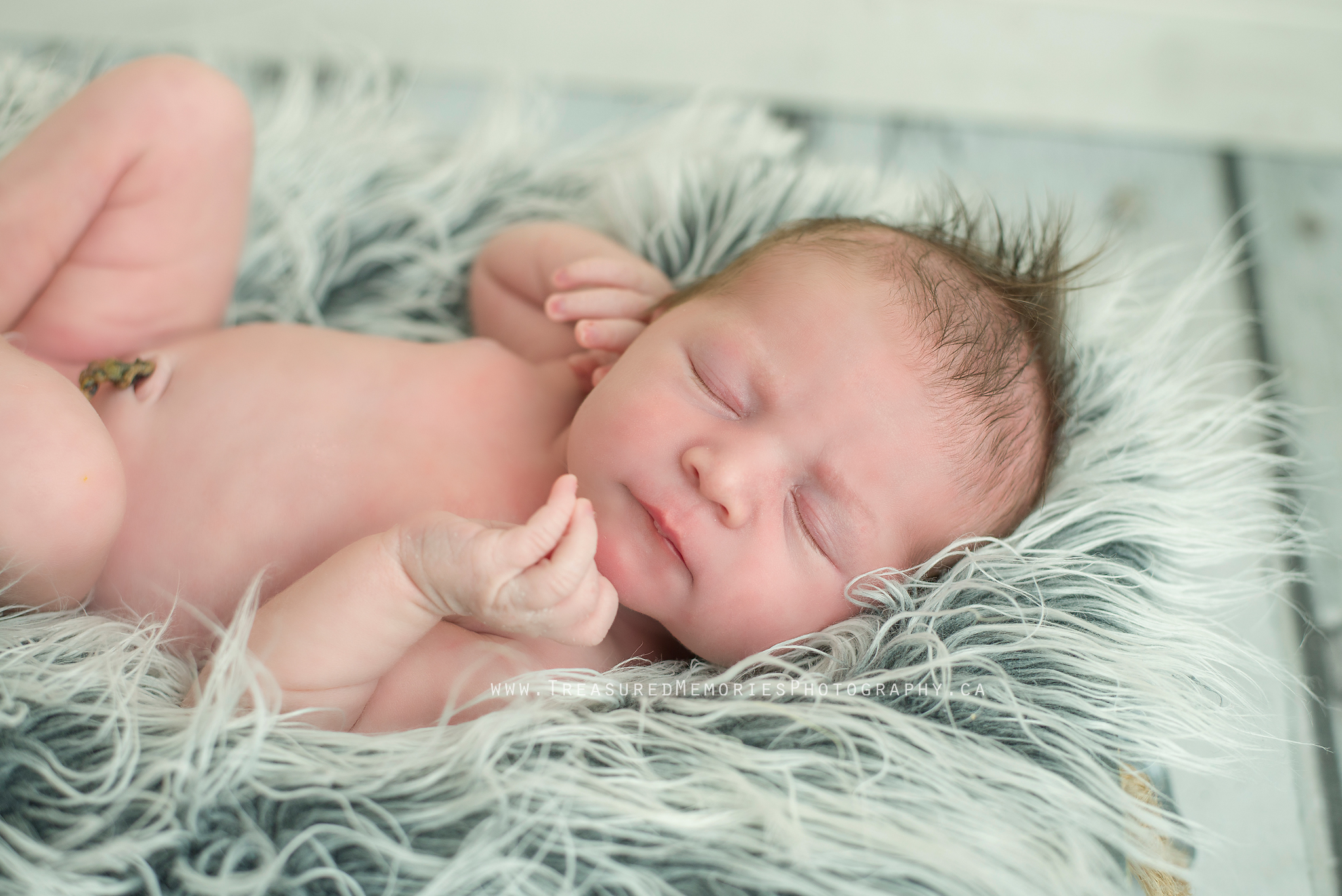 Hamilton Newborn Photographer