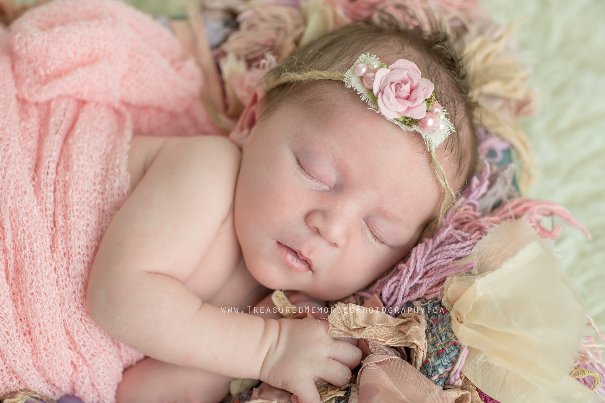 Hamilton Ontario Newborn Photographer