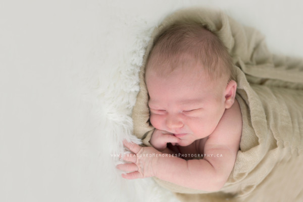 Hamilton Ontario Newborn Photographer