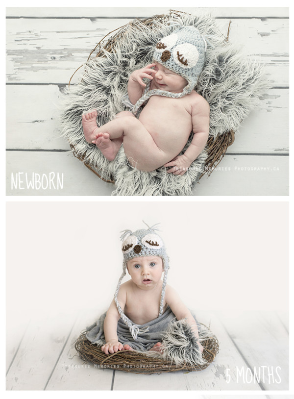 Owl Baby Session