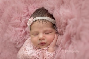 hamilton newborn photographer  