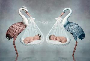 hamilton newborn twin photographer 