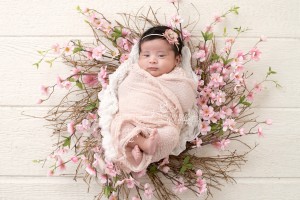 hamilton newborn photographer 