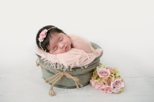 hamilton newborn photographer 