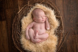 Hamilton Newborn Photographer   