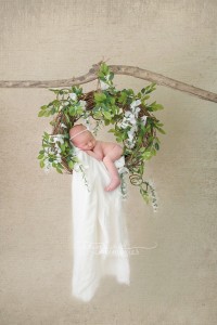 hamilton newborn photographer 