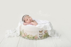 hamilton newborn photographer      