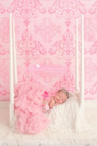 Hamilton Newborn Photographer    