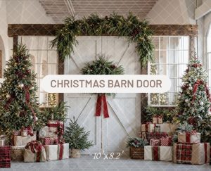 *2025 - Christmas Barn Doors