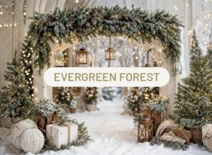 *2025 - Evergreen Forest